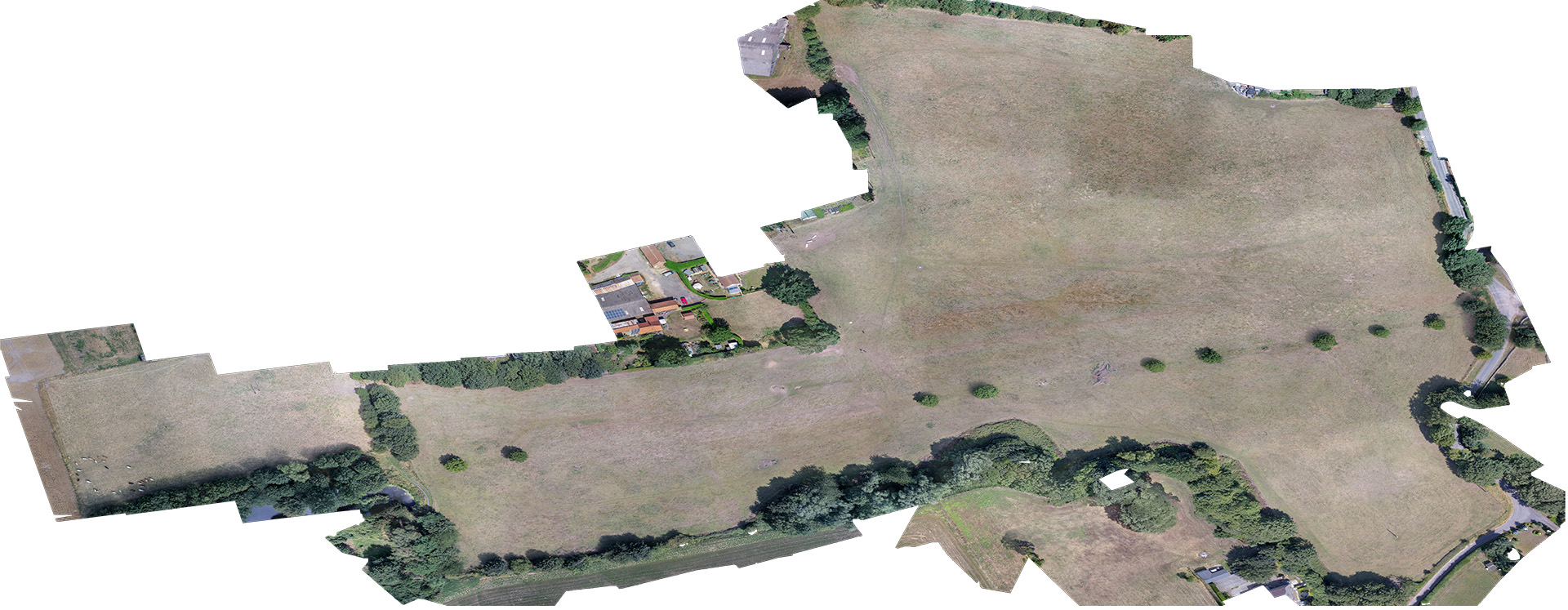 Orthomosaic image of Harpswell archaeology site